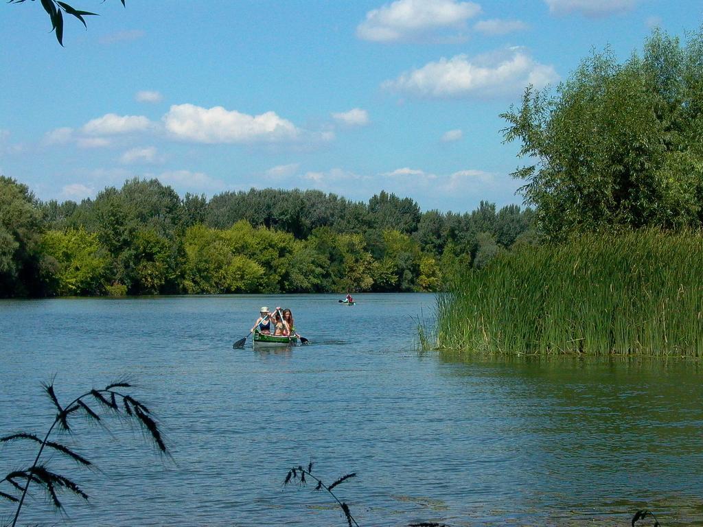 Kormoran Vendeghaz Holiday home Tiszafured